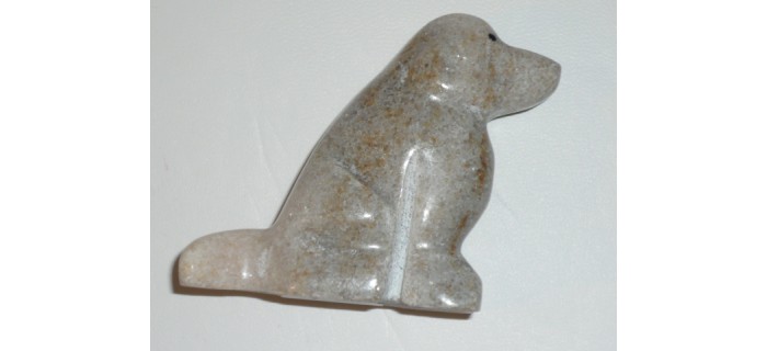 Chien