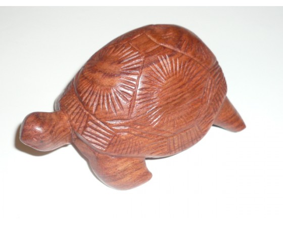 Tortue