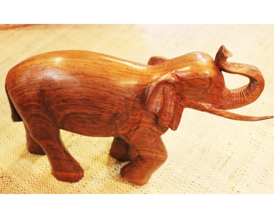 Eléphant palissandre