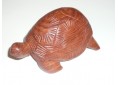 Tortue