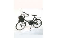 Solex